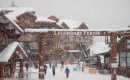 Another Powdery Griz Days in Fernie